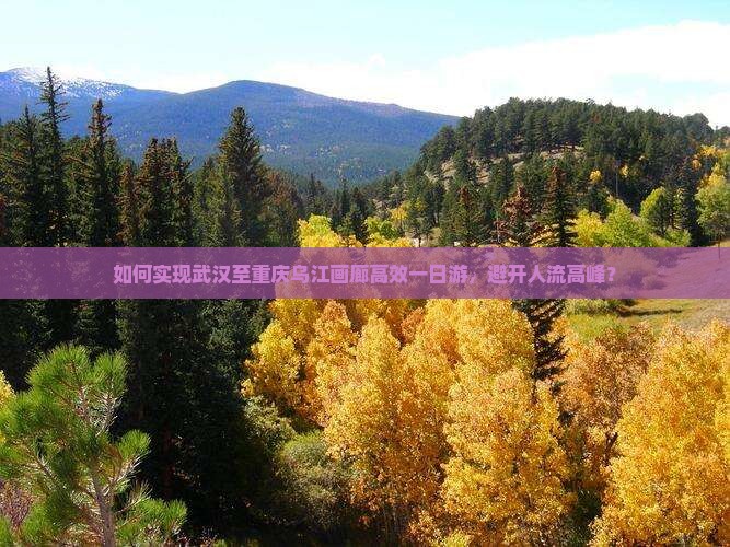 如何实现武汉至重庆乌江画廊高效一日游，避开人流高峰？
