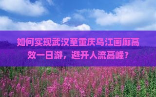 如何实现武汉至重庆乌江画廊高效一日游，避开人流高峰？
