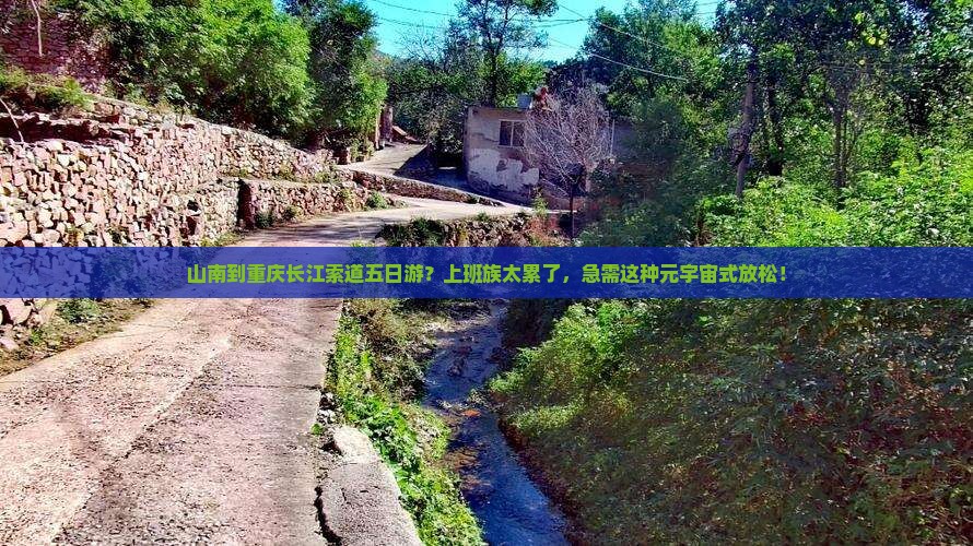 山南到重庆长江索道五日游？上班族太累了，急需这种元宇宙式放松！