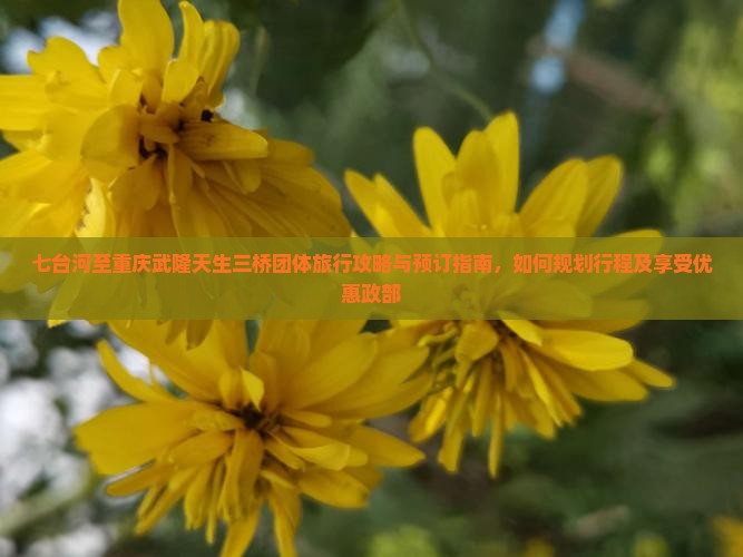七台河至重庆武隆天生三桥团体旅行攻略与预订指南，如何规划行程及享受优惠政部