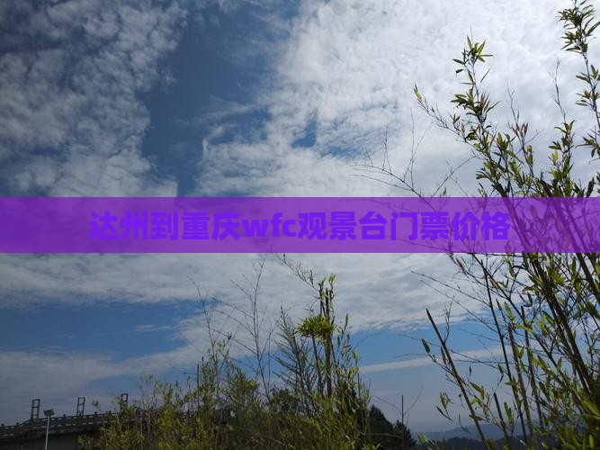 达州到重庆wfc观景台门票价格