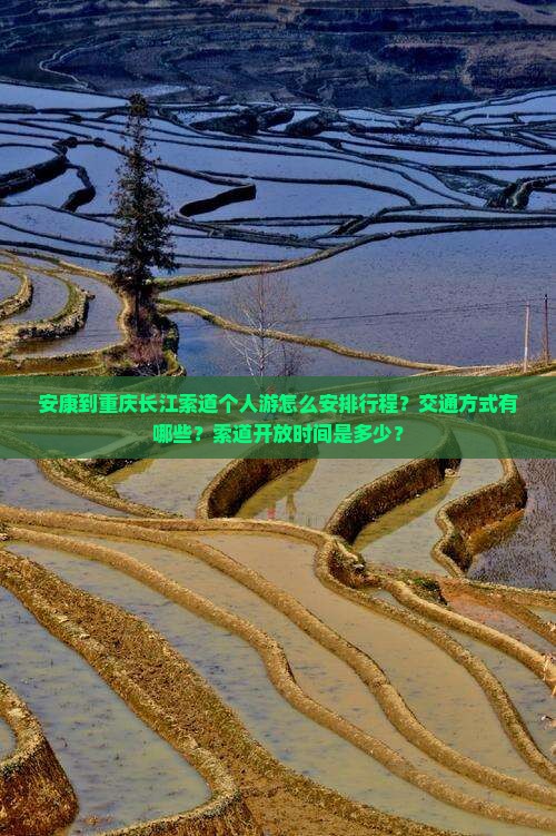 安康到重庆长江索道个人游怎么安排行程？交通方式有哪些？索道开放时间是多少？