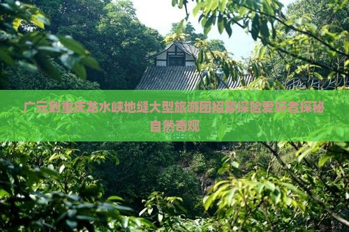 广元到重庆龙水峡地缝大型旅游团招募探险爱好者探秘自然奇观