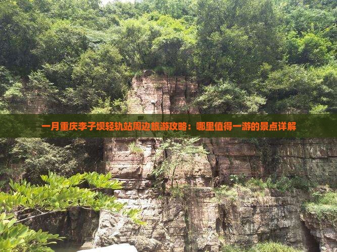 一月重庆李子坝轻轨站周边旅游攻略：哪里值得一游的景点详解
