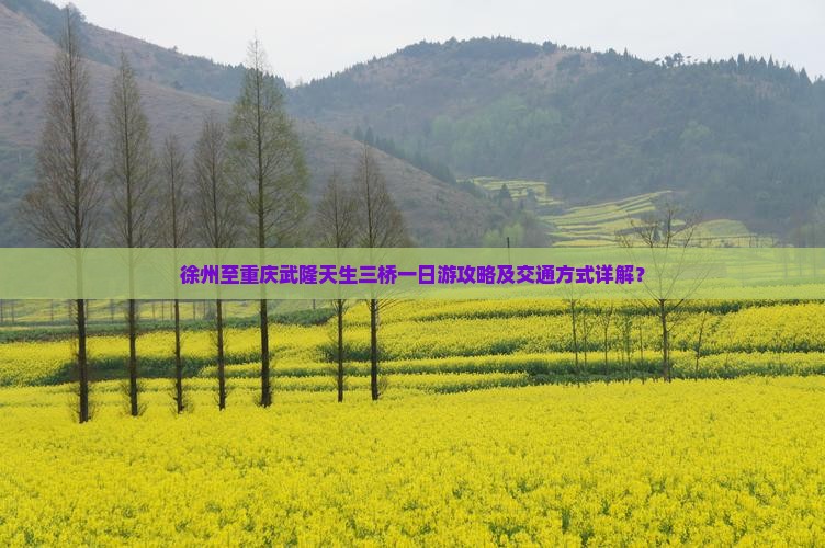 徐州至重庆武隆天生三桥一日游攻略及交通方式详解？