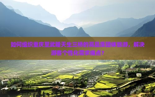 如何组织重庆至武隆天生三桥的高品质团体旅游，解决游客个性化需求痛点？