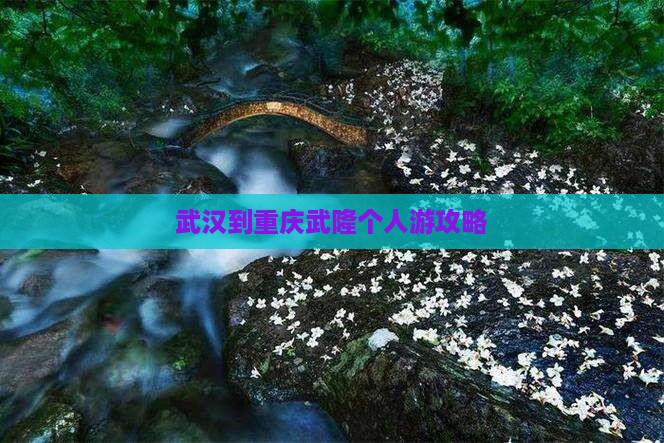 武汉到重庆武隆个人游攻略