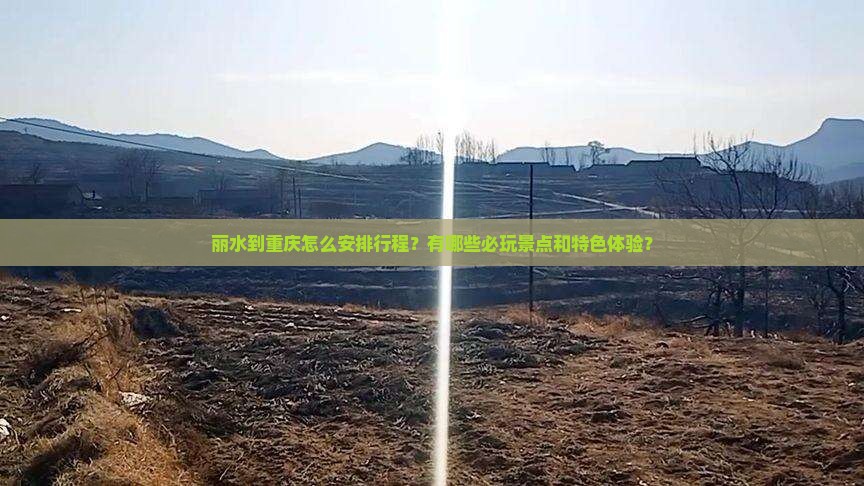 丽水到重庆怎么安排行程？有哪些必玩景点和特色体验？