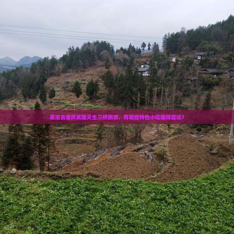 果洛去重庆武隆天生三桥旅游，有哪些特色小吃值得尝试？