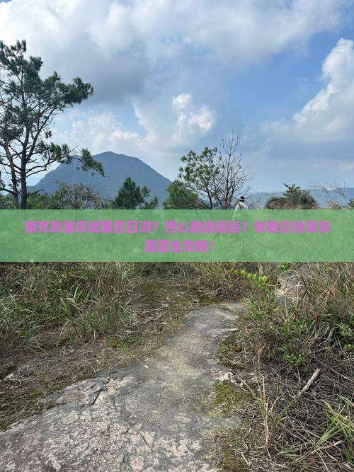南充到重庆武隆四日游？担心路途遥远？快看这份高铁+露营全攻略！