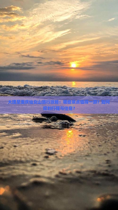 大理至重庆仙女山旅行攻略：哪些景点值得一游？如何规划行程与住宿？