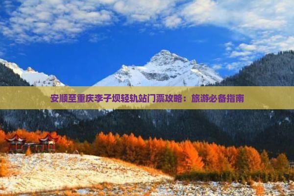 安顺至重庆李子坝轻轨站门票攻略：旅游必备指南