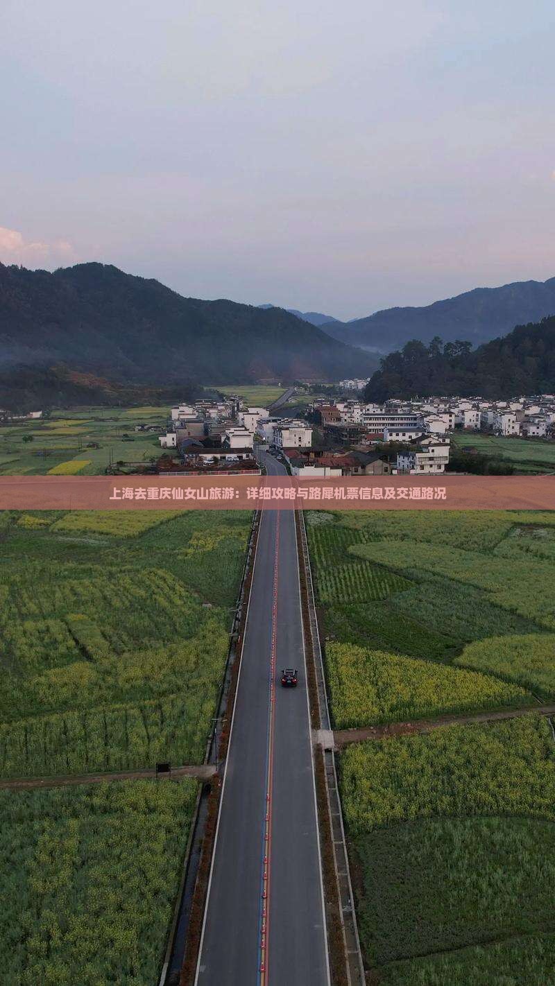 上海去重庆仙女山旅游：详细攻略与路犀机票信息及交通路况
