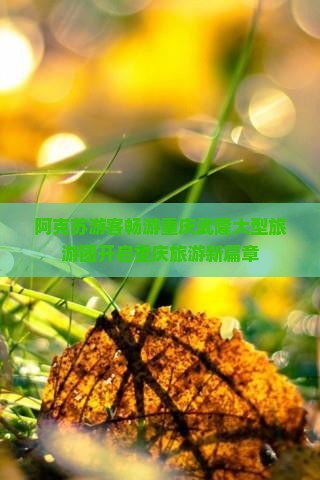 阿克苏游客畅游重庆武隆大型旅游团开启重庆旅游新篇章