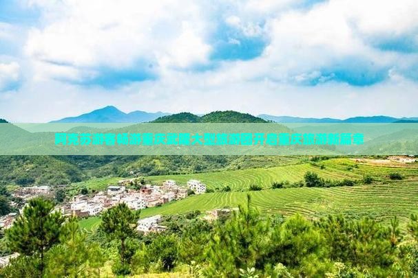 阿克苏游客畅游重庆武隆大型旅游团开启重庆旅游新篇章