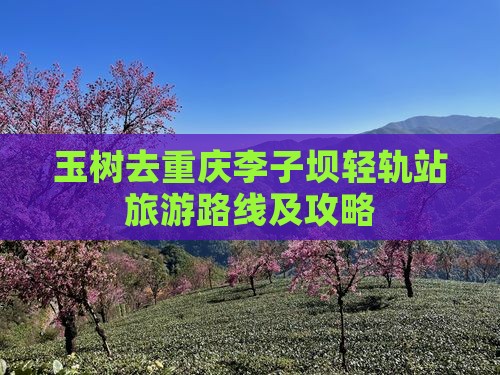 玉树去重庆李子坝轻轨站旅游路线及攻略