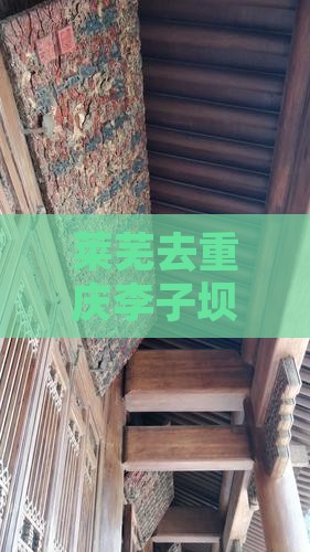 莱芜去重庆李子坝轻轨站门票价格及费用查询