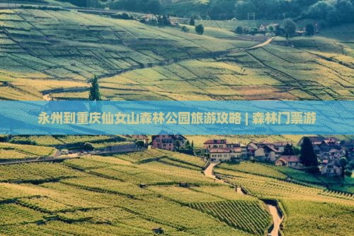 永州到重庆仙女山森林公园旅游攻略 | 森林门票游