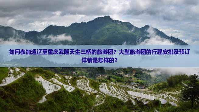 如何参加通辽至重庆武隆天生三桥的旅游团？大型旅游团的行程安排及预订详情是怎样的？