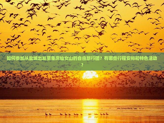 如何参加从盐城出发至重庆仙女山的自由旅行团？有哪些行程安排和特色活动？