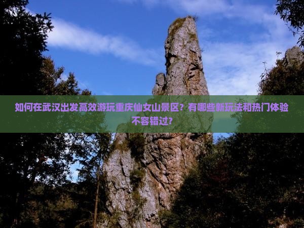 如何在武汉出发高效游玩重庆仙女山景区？有哪些新玩法和热门体验不容错过？