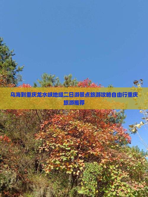 乌海到重庆龙水峡地缝二日游景点旅游攻略自由行重庆旅游推荐