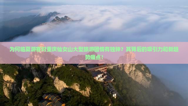 为何临夏游客对重庆仙女山大型旅游团情有独钟？其背后的吸引力和新趋势痛点！
