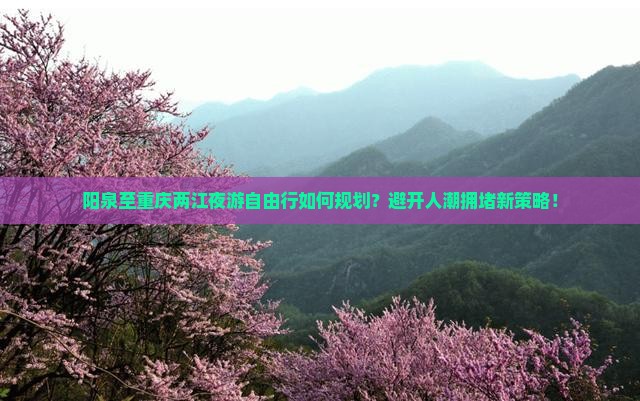 阳泉至重庆两江夜游自由行如何规划？避开人潮拥堵新策略！