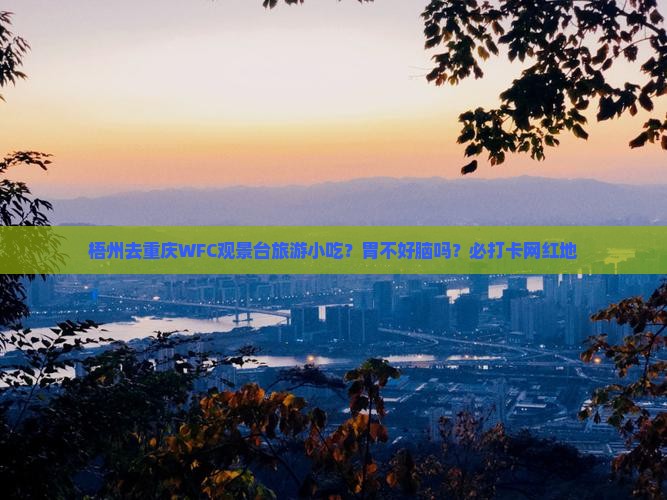 梧州去重庆WFC观景台旅游小吃？胃不好脑吗？必打卡网红地