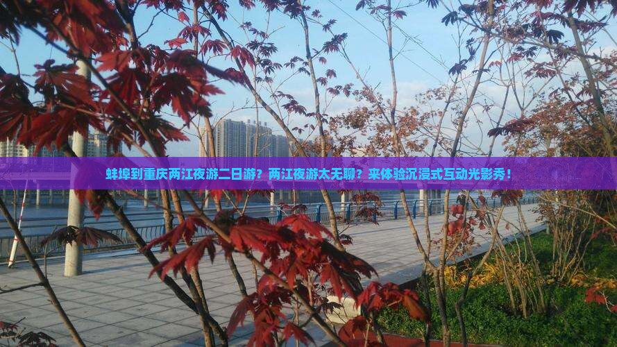 蚌埠到重庆两江夜游二日游？两江夜游太无聊？来体验沉浸式互动光影秀！