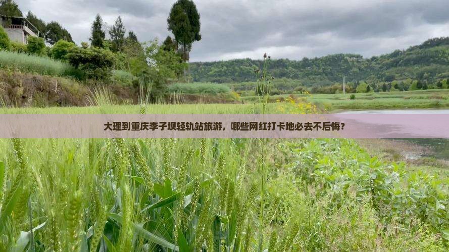 大理到重庆李子坝轻轨站旅游，哪些网红打卡地必去不后悔？