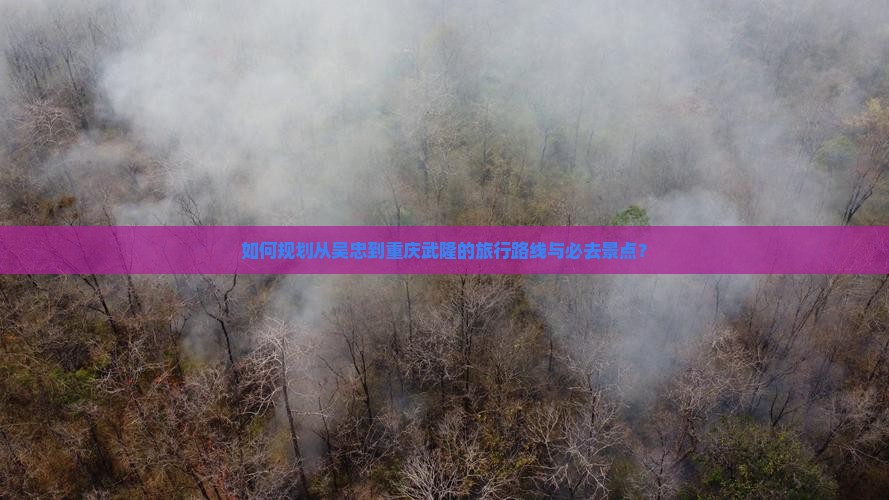 如何规划从吴忠到重庆武隆的旅行路线与必去景点？