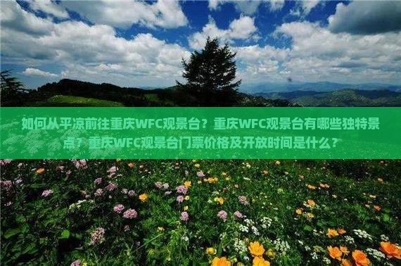 如何从平凉前往重庆WFC观景台？重庆WFC观景台有哪些独特景点？重庆WFC观景台门票价格及开放时间是什么？