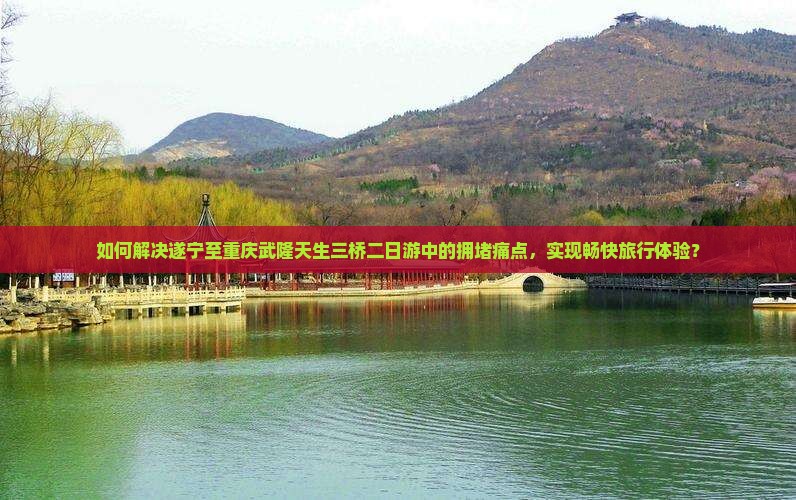 如何解决遂宁至重庆武隆天生三桥二日游中的拥堵痛点，实现畅快旅行体验？