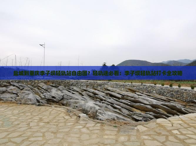 盐城到重庆李子坝轻轨站自由团？轻轨迷必看：李子坝轻轨站打卡全攻略