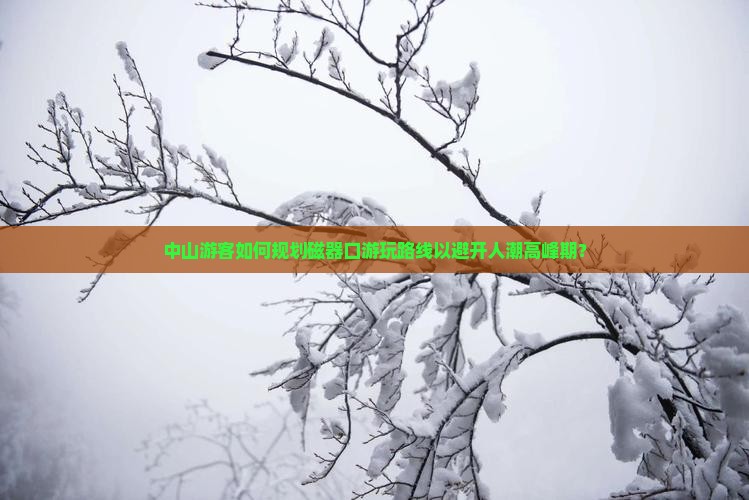 中山游客如何规划磁器口游玩路线以避开人潮高峰期？