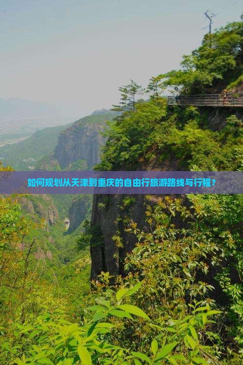 如何规划从天津到重庆的自由行旅游路线与行程？