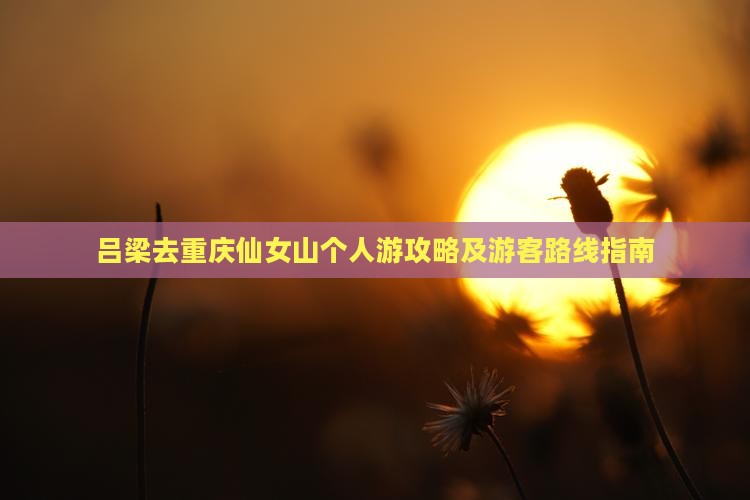 吕梁去重庆仙女山个人游攻略及游客路线指南