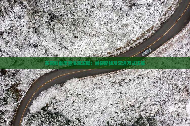 东莞到重庆渣滓洞攻略：最快路线及交通方式详解
