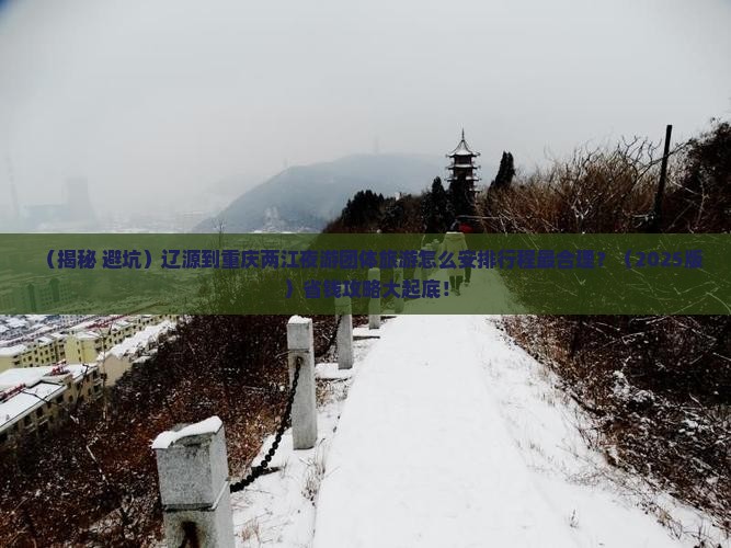 辽源到重庆两江夜游团体旅游