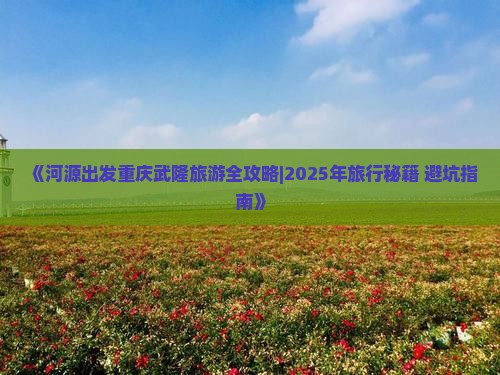 河源去重庆武隆旅行社