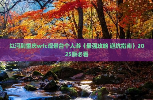 红河到重庆wfc观景台个人游