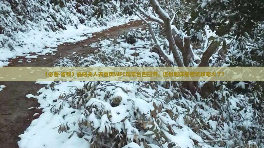 嘉峪关去重庆wfc观景台四日游
