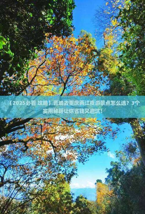 晋城去重庆两江夜游景点