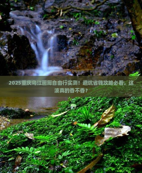 聊城去重庆乌江画廊自由团