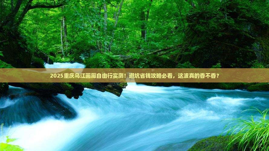 聊城去重庆乌江画廊自由团