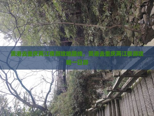贵港去重庆两江夜游攻略