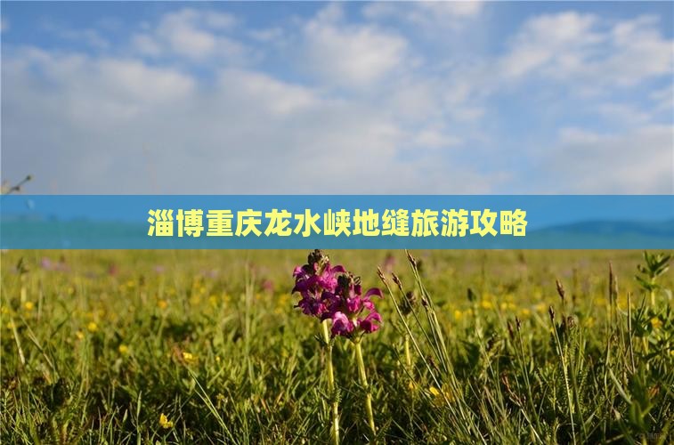 淄博去重庆龙水峡地缝自由团