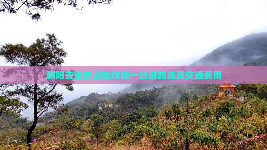 朝阳去重庆武隆攻略