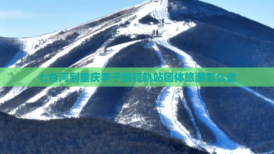 七台河到重庆李子坝轻轨站团体旅游